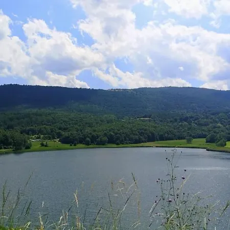 Entero En La Vall Fosca *